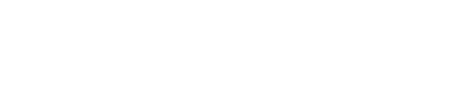 THE FOCUS